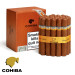 charutos maresias - cohiba